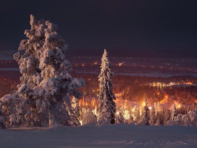 Snow-covered Trees at Night — White, Serene, Photograph, Village
