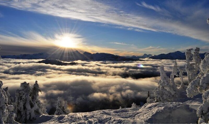 Snow-covered Trees at Sunrise — Blue