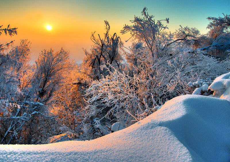Snow-covered Trees at Sunrise — Orange