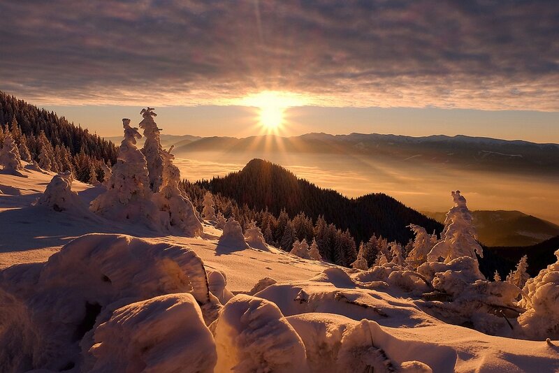 Snow-covered Trees at Sunrise — White, Serene, Photograph, Mountains, Sun