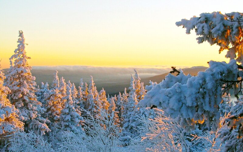 Snow-covered Trees at Sunrise — White, Serene, Winter, Photograph, Snow, Clouds
