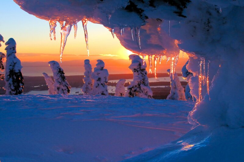 Snow-covered Trees at Sunset — Blue, Dramatic, Photograph, Icicles, Snow