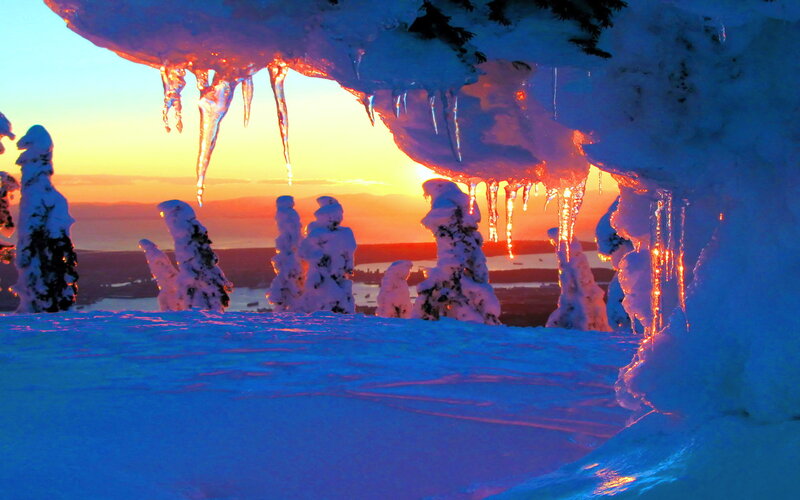 Snow-covered Trees at Sunset — Blue, Dramatic, Photograph, Icicles