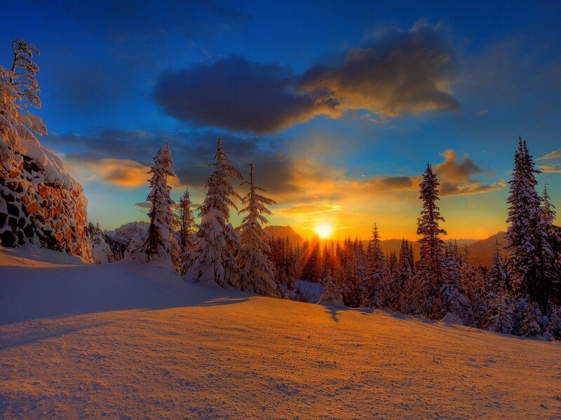 Snow-covered Trees at Sunset — Blue, Dramatic, Photograph, Mountains, Sun
