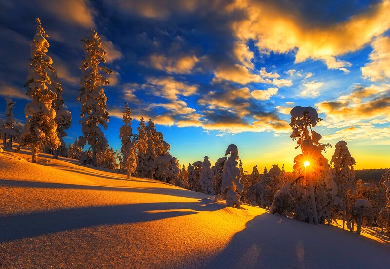 Snow-covered Trees at Sunset — Blue, Dramatic, Photograph, Sun