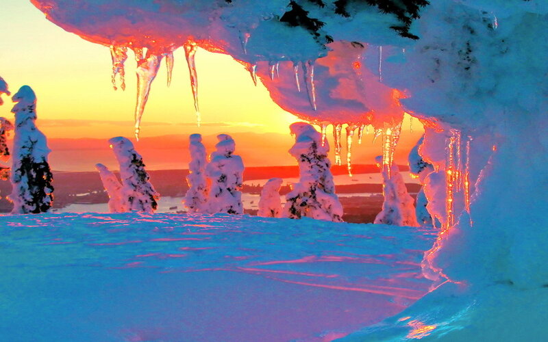 Snow-covered Trees at Sunset — Blue, Dramatic