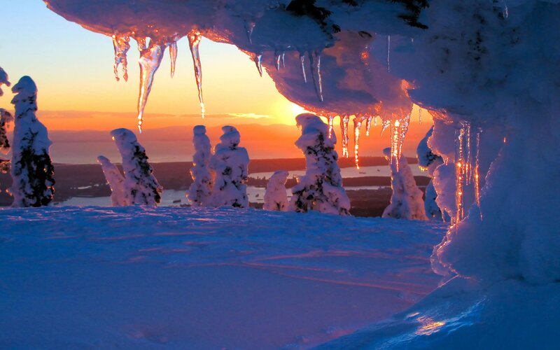 Snow-covered Trees at Sunset — Blue, Serene, Photograph, Icicles