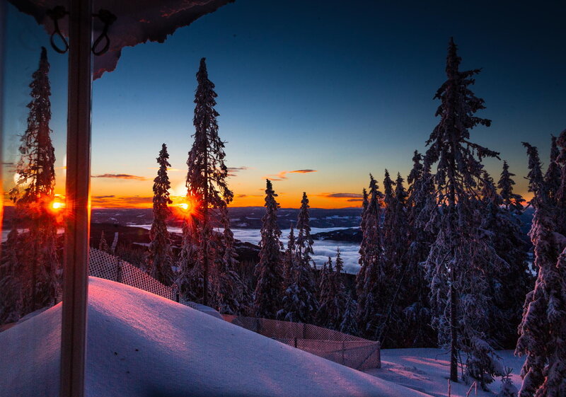 Snow-covered Trees at Sunset — Blue, Serene, Photograph, Mountain
