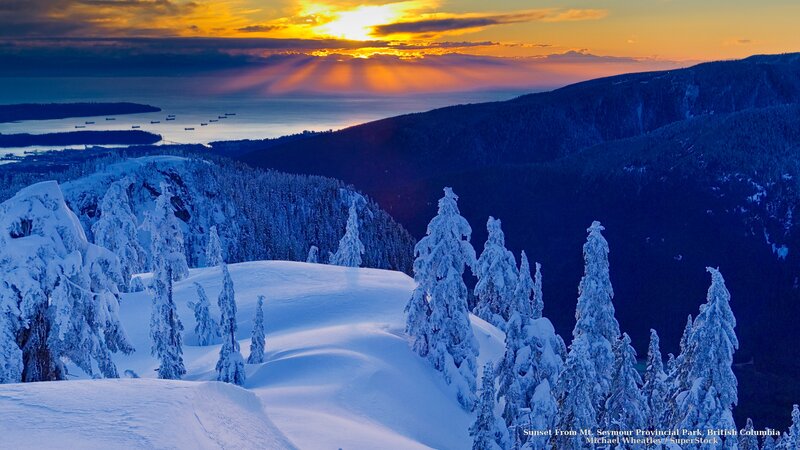 Snow-covered Trees at Sunset — Blue, Serene, Photograph, Mountains