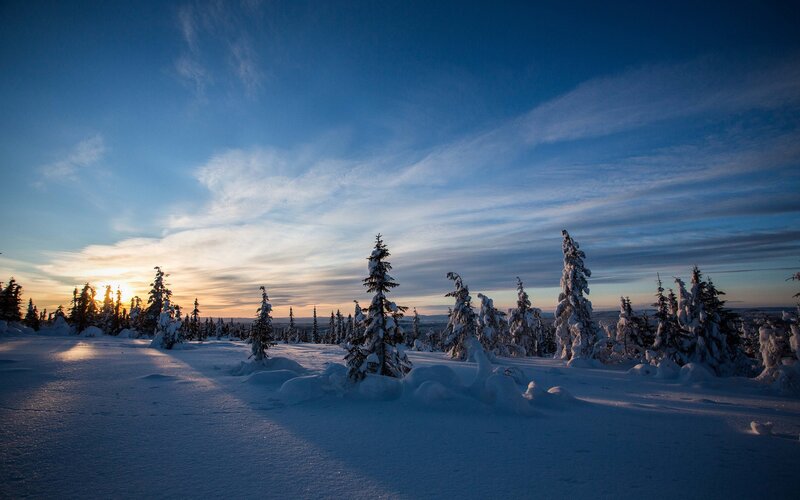 Snow-covered Trees at Sunset — Blue, Serene, Photograph, Sky