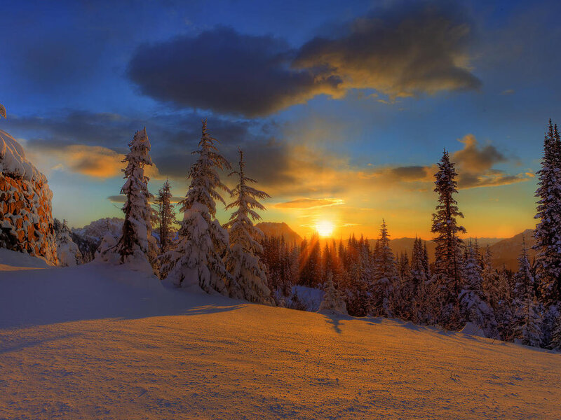 Snow-covered Trees at Sunset — Blue, Serene, Photograph