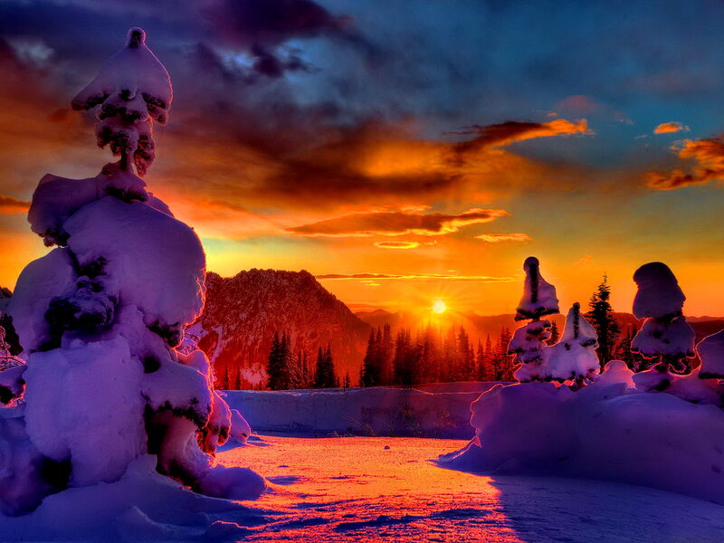 Snow-covered Trees at Sunset — Orange, Dramatic, Photograph, Mountain