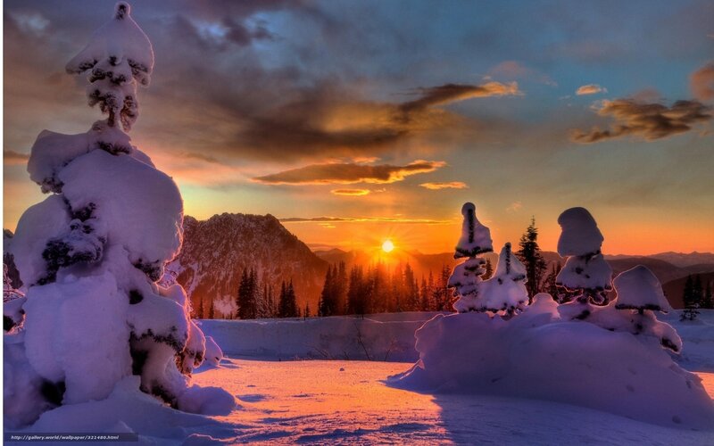 Snow-covered Trees at Sunset — Orange, Dramatic, Photograph, Mountains, Sky, Sun