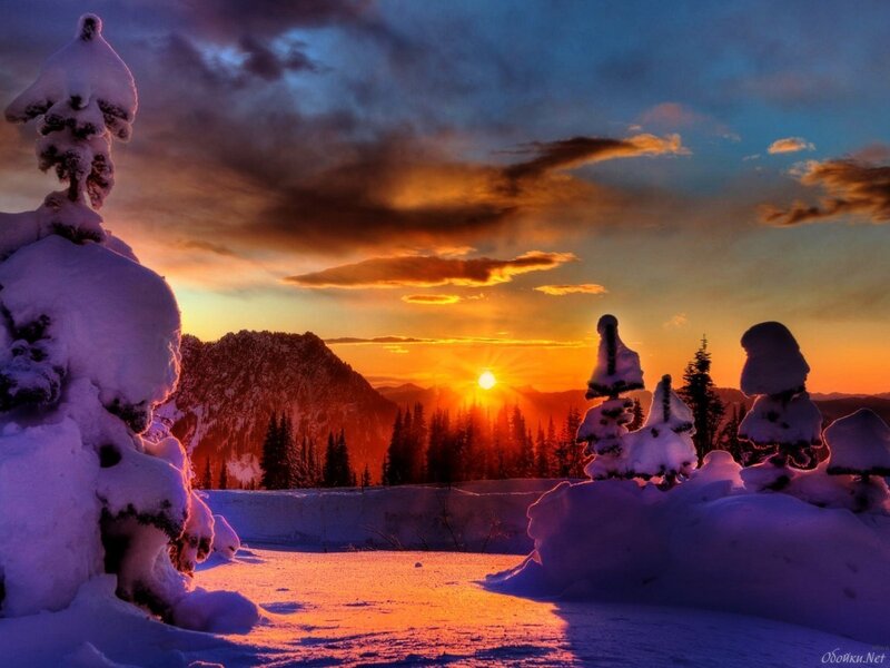 Snow-covered Trees at Sunset — Orange, Dramatic, Photograph, Mountains