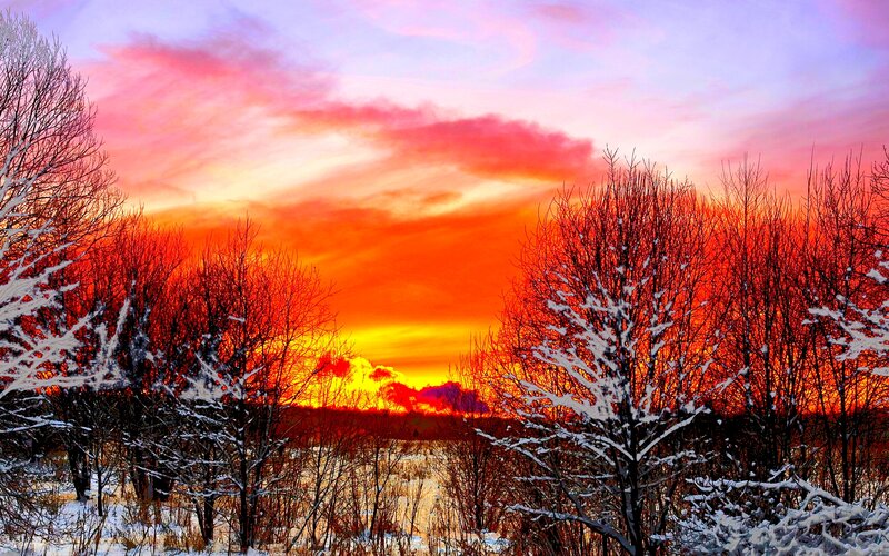 Snow-covered Trees at Sunset — Orange, Dramatic, Photograph, Sky