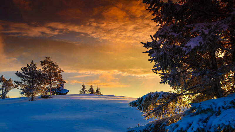 Snow-covered Trees at Sunset — Orange, Dramatic, Photograph, Snow, Sky