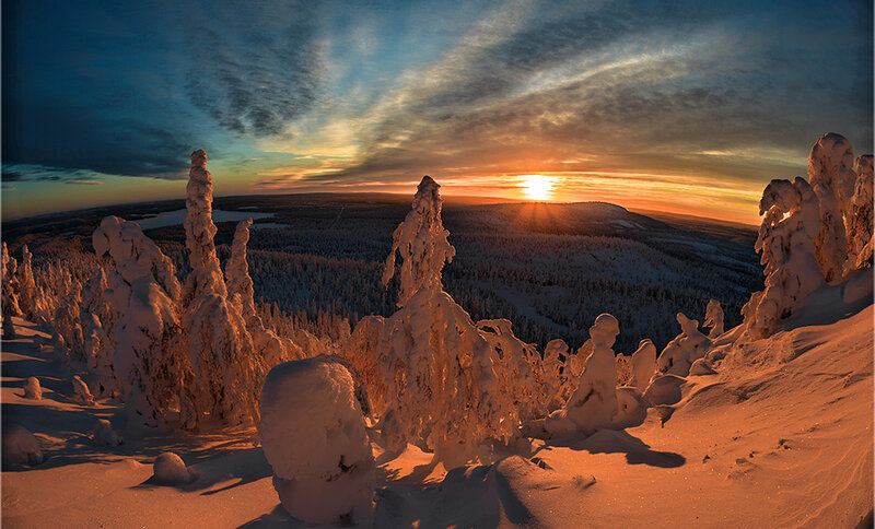 Snow-covered Trees at Sunset — Orange, Dramatic, Photograph, Snow, Sun, Sky