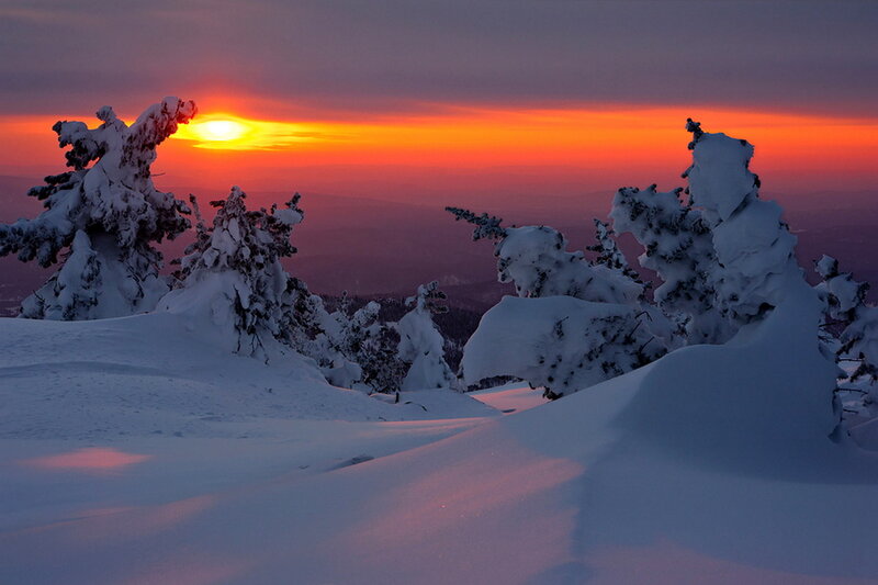 Snow-covered Trees at Sunset — Orange, Dramatic, Photograph, Snow, Sun