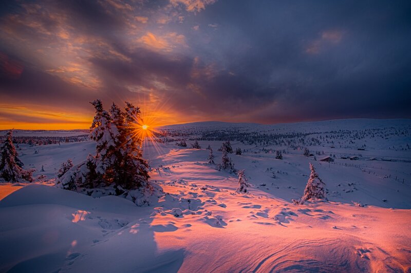 Snow-covered Trees at Sunset — Orange, Dramatic, Photograph, Sun, Clouds