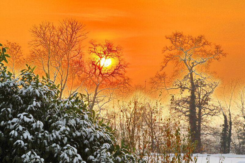 Snow-covered Trees at Sunset — Orange, Dramatic, Photograph, Sun