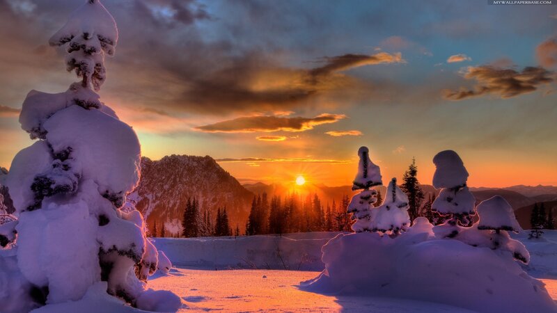 Snow-covered Trees at Sunset — Orange, Dramatic, Photograph