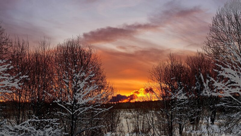 Snow-covered Trees at Sunset — Orange, Dramatic, Winter, Photograph, Sky