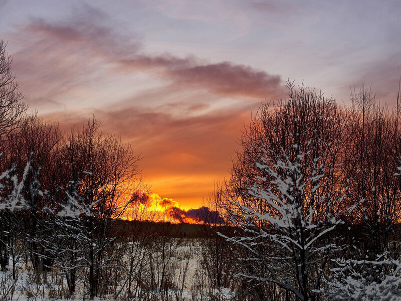 Snow-covered Trees at Sunset — Orange, Dramatic, Winter, Photograph