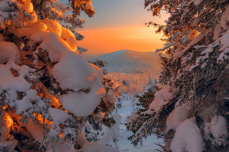 Snow-covered Trees at Sunset — Orange, Serene, Photograph, Mountain
