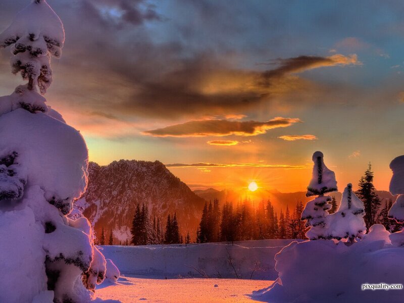 Snow-covered Trees at Sunset — Orange, Serene, Photograph, Mountains