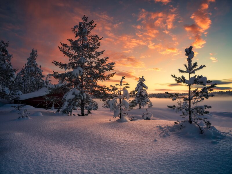 Snow-covered Trees at Sunset — Orange, Serene, Photograph, Snow, Sky, Building