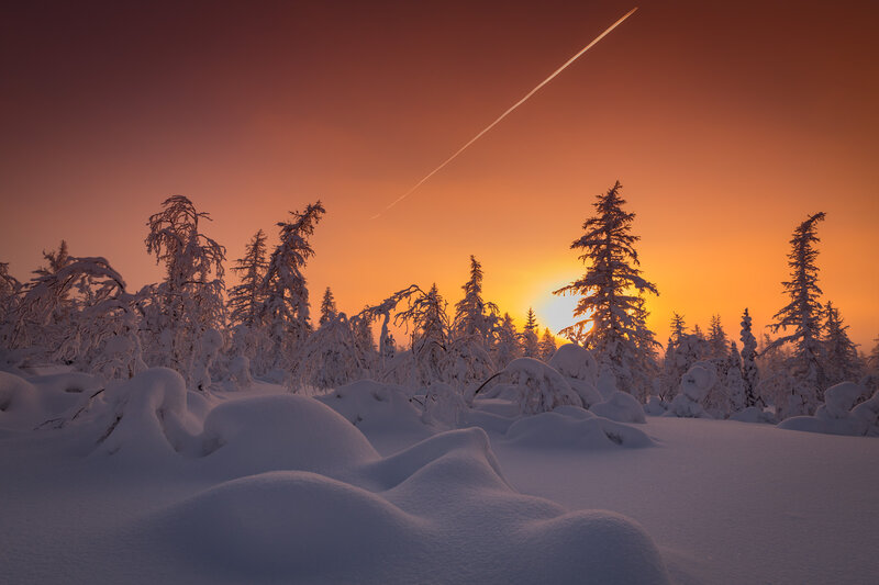 Snow-covered Trees at Sunset — Orange, Serene, Photograph, Snow, Sun, Jet Stream