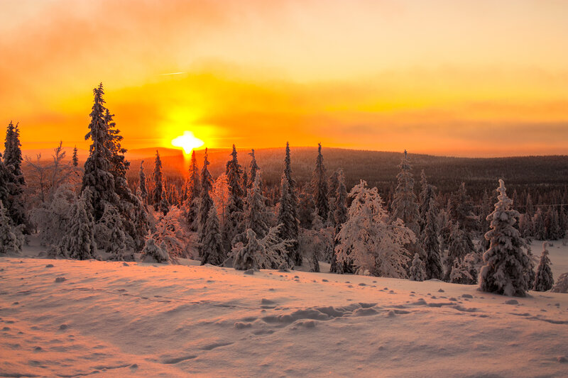 Snow-covered Trees at Sunset — Orange, Serene, Photograph, Sun, Forest