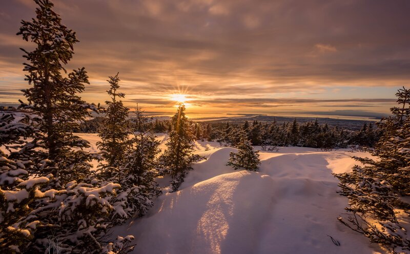 Snow-covered Trees at Sunset — Orange, Serene, Photograph, Sun, Snow, Sky
