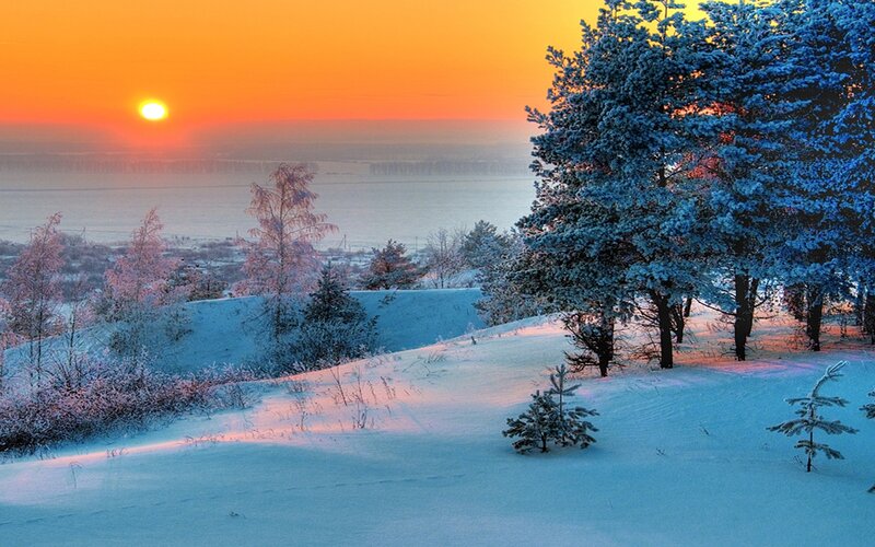 Snow-covered Trees at Sunset — Orange, Serene