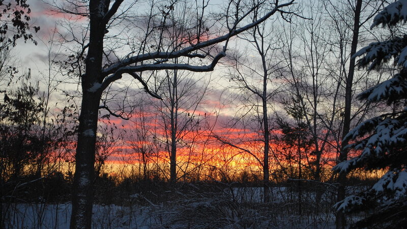 Snow-covered Trees at Sunset — Orange, Serene, Winter