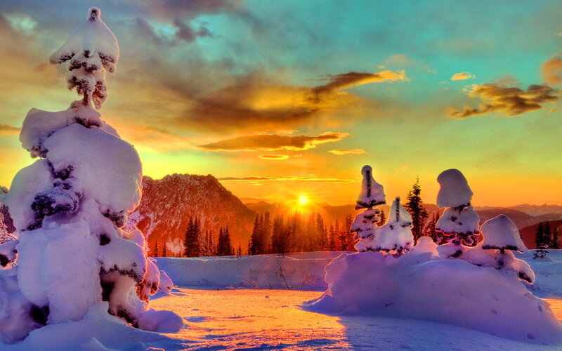 Snow-covered Trees at Sunset — Orange
