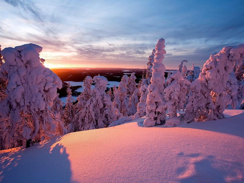 Snow-covered Trees at Sunset — Pink, Serene, Winter