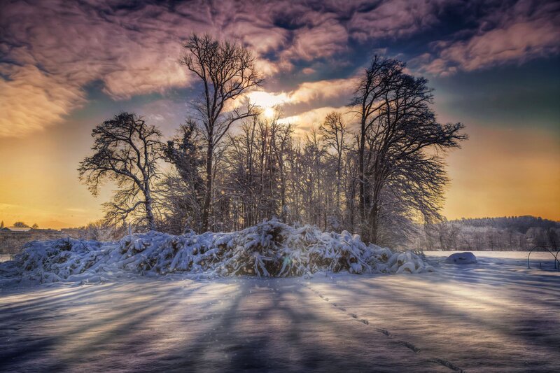 Snow-covered Trees at Sunset — Purple, Dramatic, Photograph, Snow