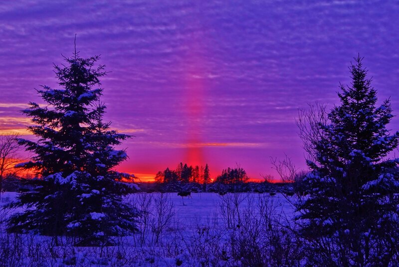 Snow-covered Trees at Sunset — Purple, Dramatic, Winter