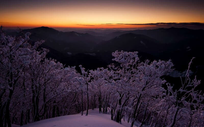 Snow-covered Trees at Sunset — Purple, Serene, Photograph, Mountains, Sky, Snow