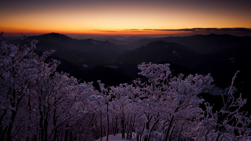 Snow-covered Trees at Sunset — Purple, Serene, Photograph, Mountains, Sky