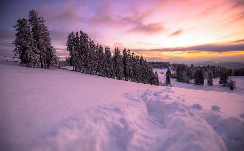 Snow-covered Trees at Sunset — Purple, Serene, Photograph, Snow, Sky, Mountains
