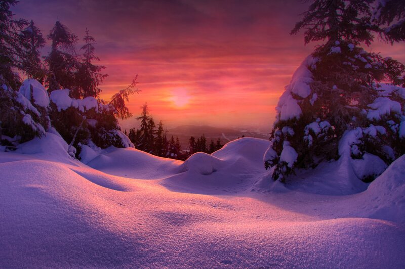 Snow-covered Trees at Sunset — Purple, Serene, Photograph, Snow, Sky