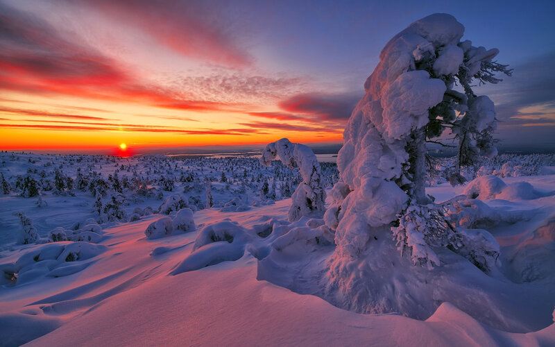 Snow-covered Trees at Sunset — Red, Dramatic, Photograph, Snow, Sky