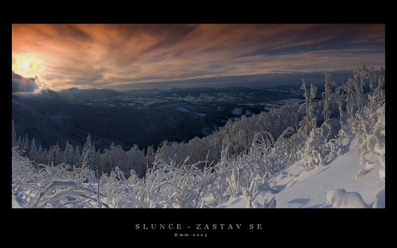 Snow-covered Trees at Sunset — White, Dramatic, Photograph, Mountains