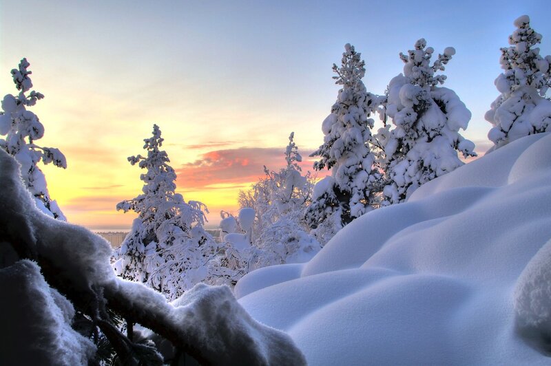 Snow-covered Trees at Sunset — White, Serene, Photograph, Snow, Sky, City