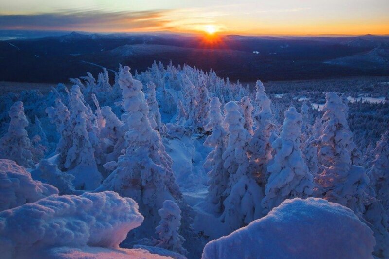 Snow-covered Trees at Sunset — White, Serene, Winter, Photograph
