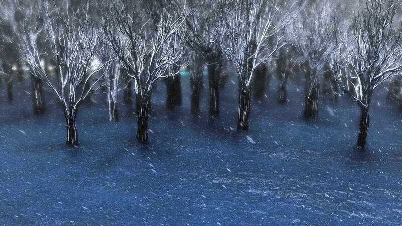Snow-covered Trees — Blue, Cold, Winter