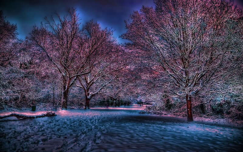 Snow-covered Trees — Blue, Dramatic