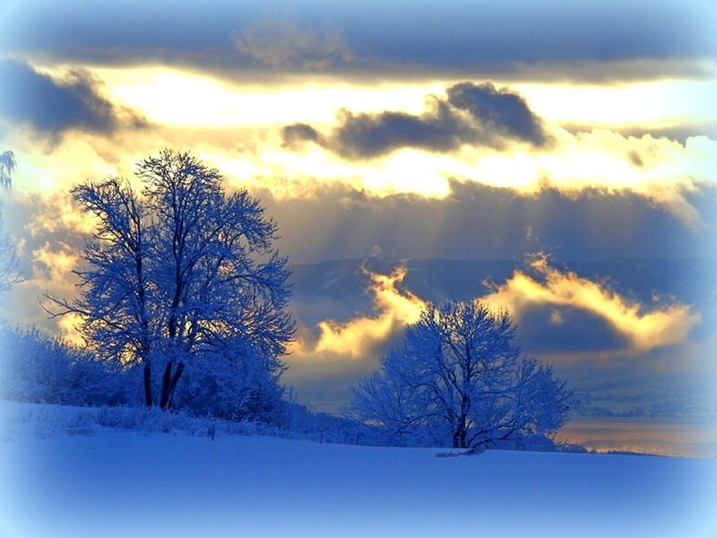 Snow-covered Trees — Blue, Dramatic, Winter, Photograph, Clouds